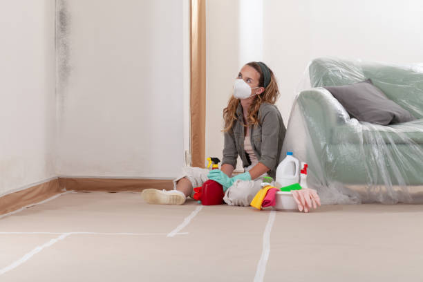 Reliable Bathroom Mold Removal contractor in Nokomis, FL by WQB Mold Removal